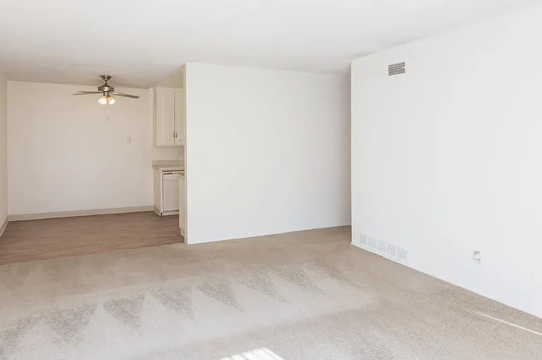 Ivanhoe Village Apartments — Photo 12