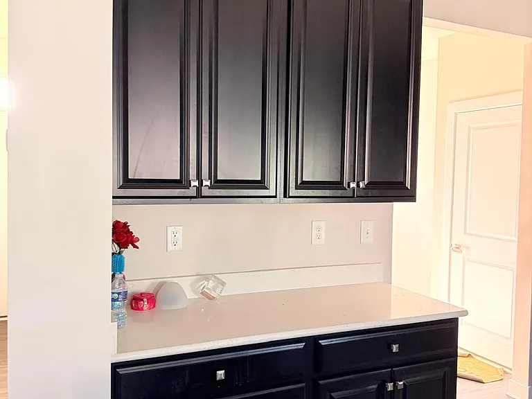 11314 Vanguard Py — Photo 17