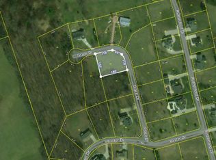 Grace Dr, New tazewell, TN 37825