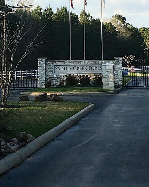 1st image of 28701 Saddle Horn Dr