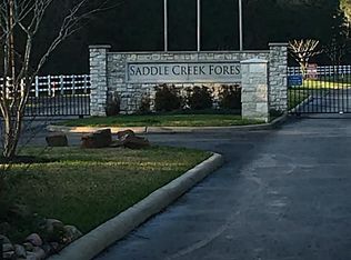 28701 Saddle Horn Dr, Waller, TX 77484