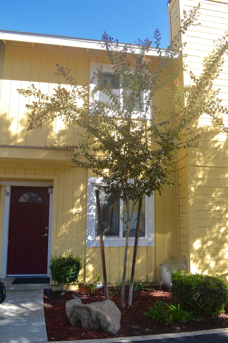 232 N Lemoore Ave APT 10 photo 1