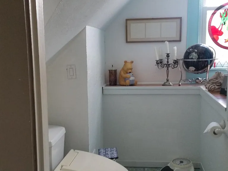 Master bath bidet toilet with storage landing