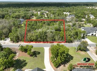 1344 River Landing Way, Blackshear, GA 31516