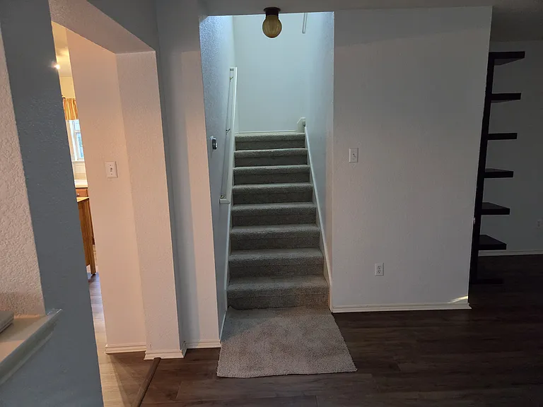 1426 Davis Mountain Loop — Photo 7