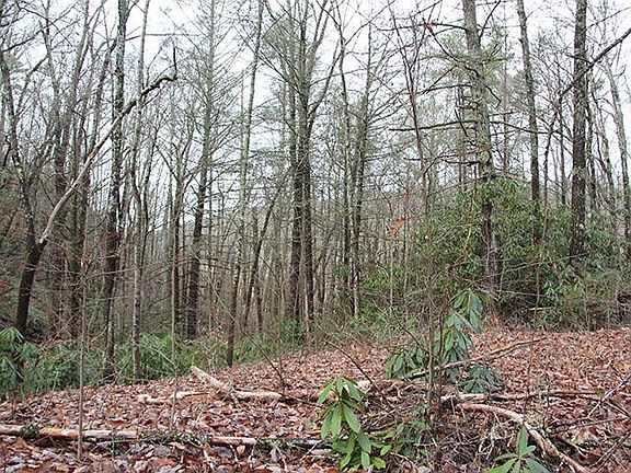 4th image of 0 Little Round Top Ln Lot 10