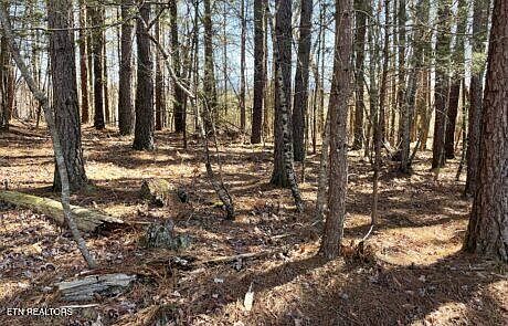 2nd image of 194 Forest Ridge Ln