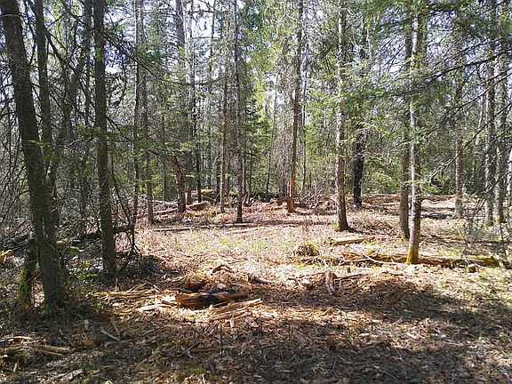 3rd image of 2300 W Frazer Bay Rd