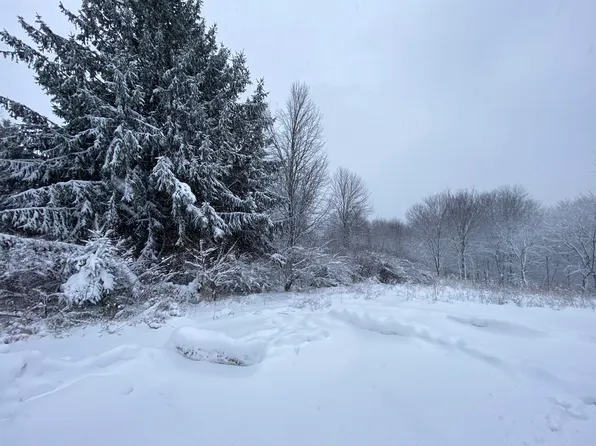 L374 Icicle Ct, La Valle, WI 53941