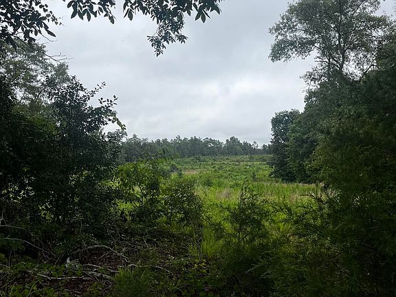 5th image of 703 Neds Creek Rd