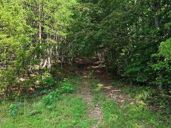 4th image of 26 Shady Oaks Way Lot 26