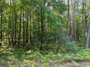 6249 Abbey Ln, Stanwood, MI