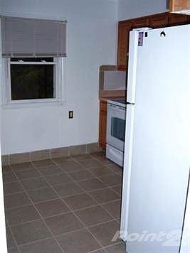 5th image of 1036 Patricia Ln