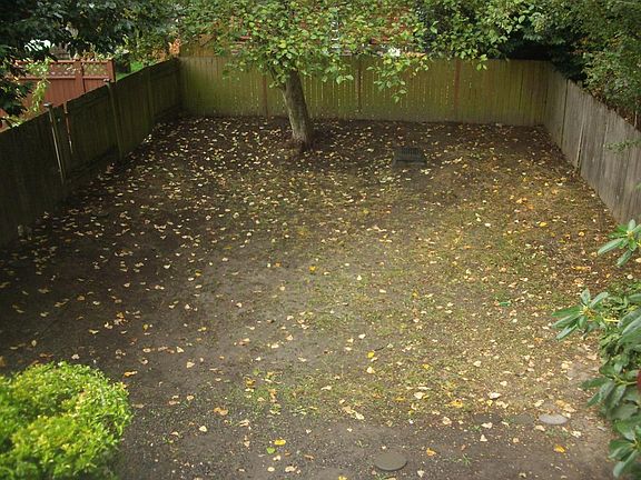 Fenced Backyard