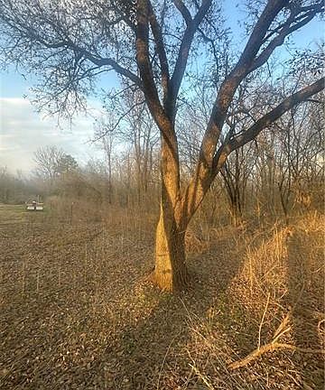 2nd image of 0 River Ln
