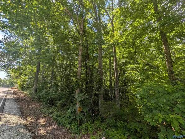 996 Keel Mountain Rd, Gurley, AL 35748