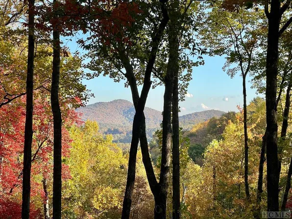 644 Tower Road, Sapphire, NC 28774