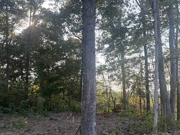 3rd image of 0 Wagoner Rd
