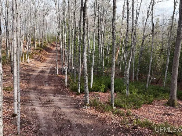 Tbd29 Rauhala Rd, Atlantic Mine, MI 49905