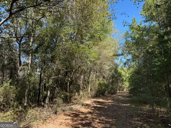 006H Wallace Buie Rd, Webb, AL 36376