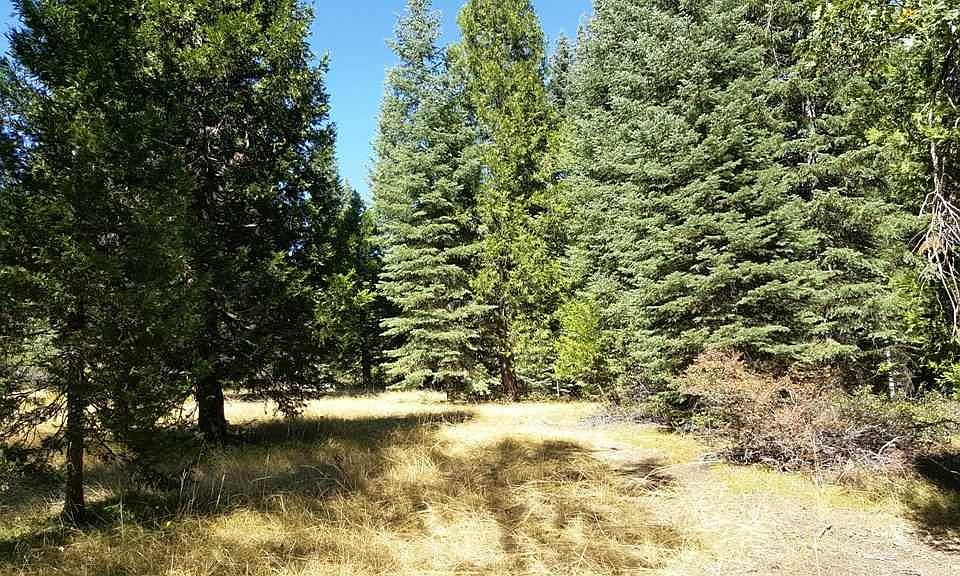 1st image of 1-C Shastina Cir
