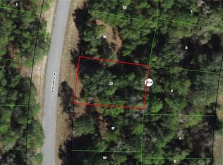 9171 N Alameda Dr, Citrus Springs, FL 34434