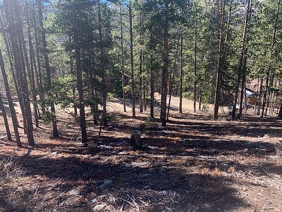 4th image of 345 Coronet Dr