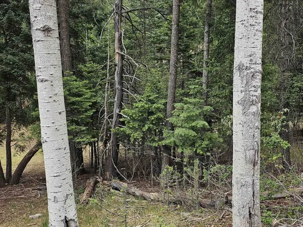 1094 Woodlands Way, Cloudcroft, NM 88317