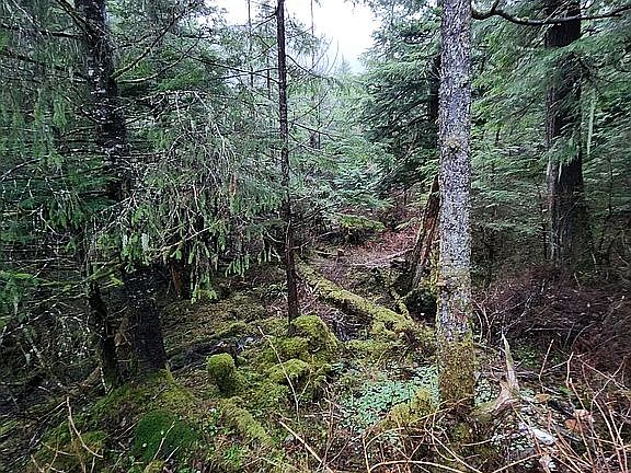 4th image of 3208 Halibut Point Rd Space 16