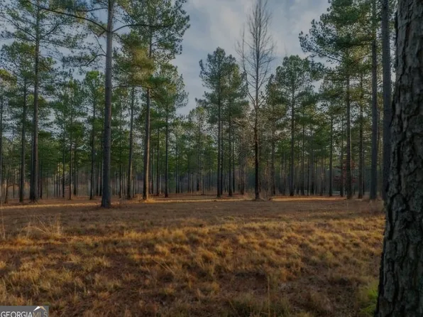 163 Overlook Dr, Eatonton, GA 31024