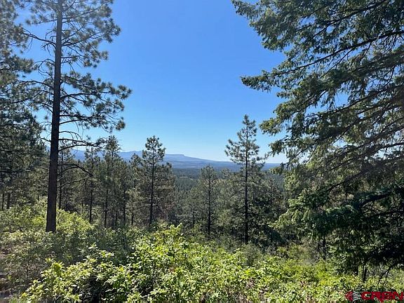 5th image of Lot 32 Piney Place