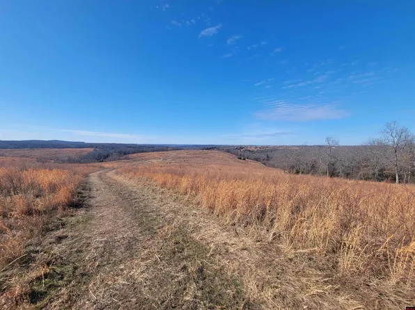 State Highway 5, Gainesville, MO 65655