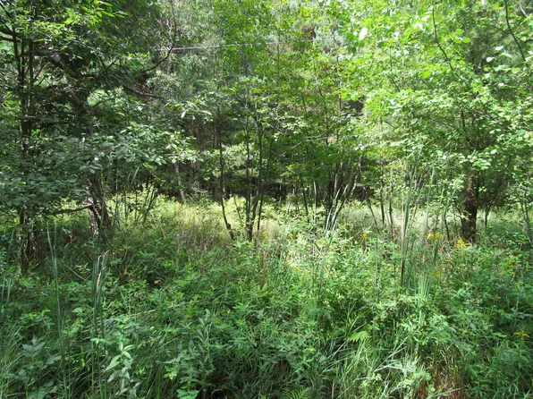 0 Duby Rd Parcel C-2, Tawas City, MI 48763