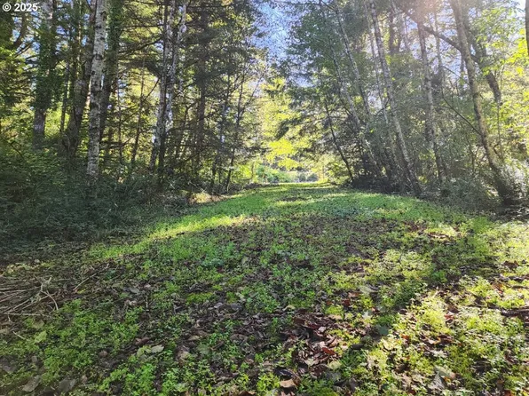 80 Acres Rd, Gold Beach, OR 97444