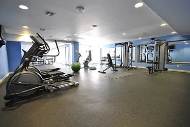 Rented by Royalty Living NYC