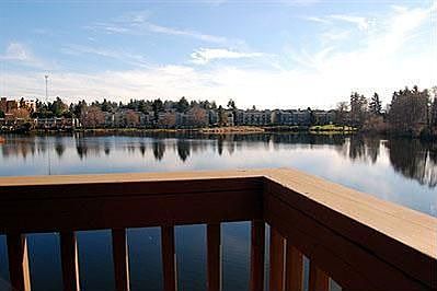 back deck