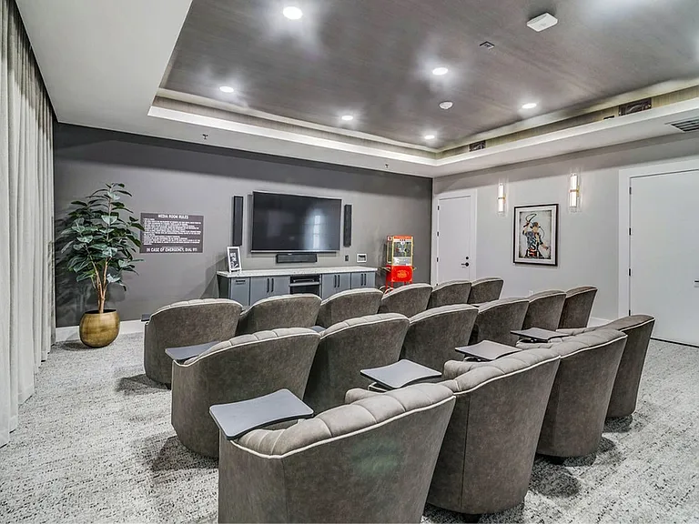 Theater Room