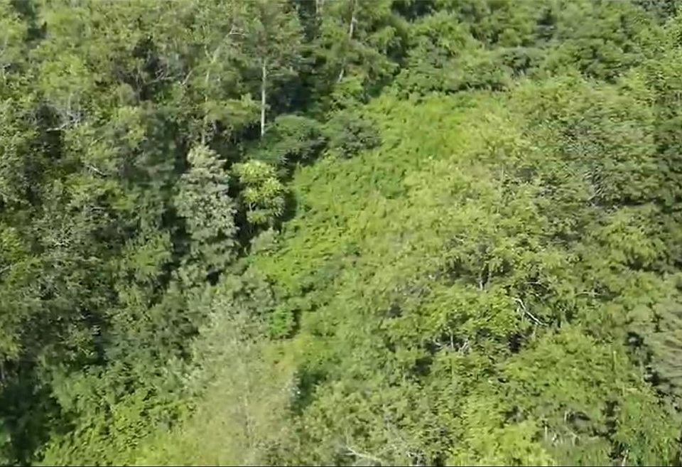 2nd image of 85101 Bell Hill Rd