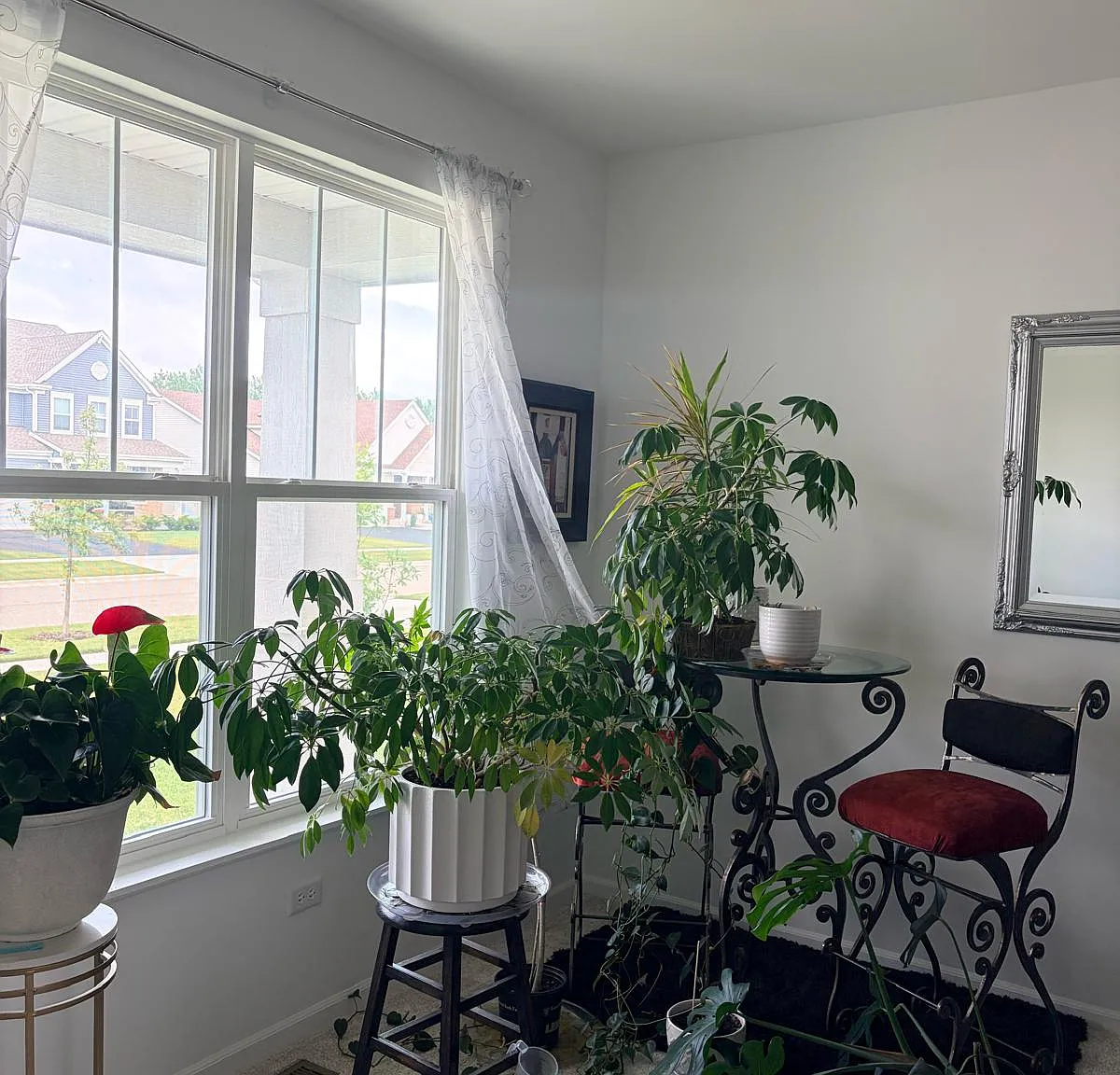 4 bed, 2.5 bath, 2292 sqft, $3,500 — Photo 2