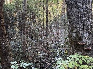 5 Knob Dr, Dillard, GA 30537