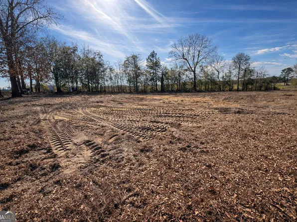 4539 Lewis Church Rd, Millen, GA 30442