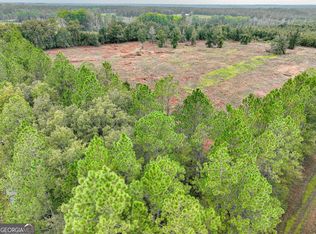 1 Lanes Bridge Rd, Odum, GA 31555