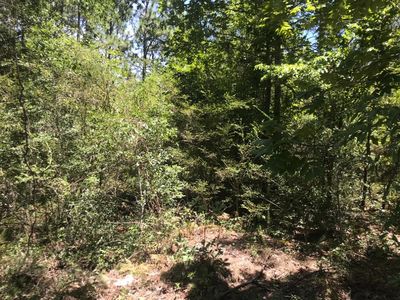 192 Dakota Ct N, Jesup, GA, 31545