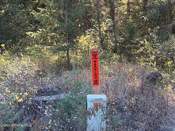 5th image of Nna Gray Eagle Lot 3