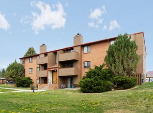 90 Roaring Fork Ave APT B2, Carbondale, CO 81623