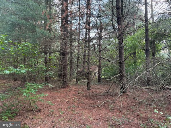 0 Rising Eagle Rd, Mardela Springs, MD 21837