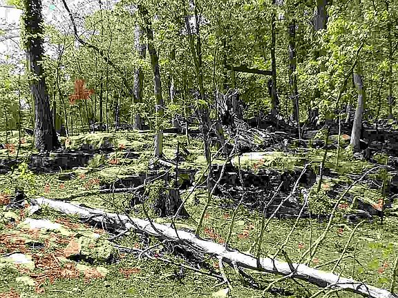 3rd image of 7691 Highway 68