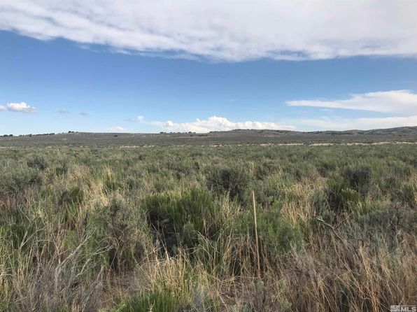 546008 Dean Dann Spa Rd, Crescent Valley, NV 89821