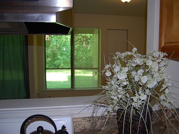 Kitchen with tree line view.