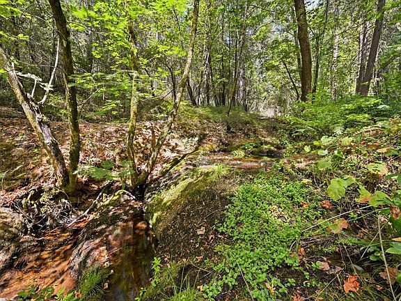 5th image of 15487 Poorman Creek Rd